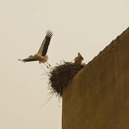 La Del Tietar Szálloda 4*