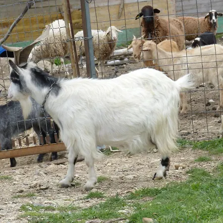 La Del Tietar Szálloda Santa Maria del Tietar
