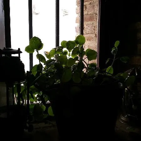 Szálloda La Del Tietar 4*