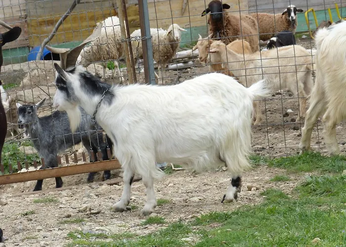 La Del Tietar Szálloda Santa Maria del Tietar