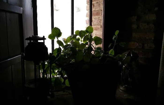 Szálloda La Del Tietar 4*